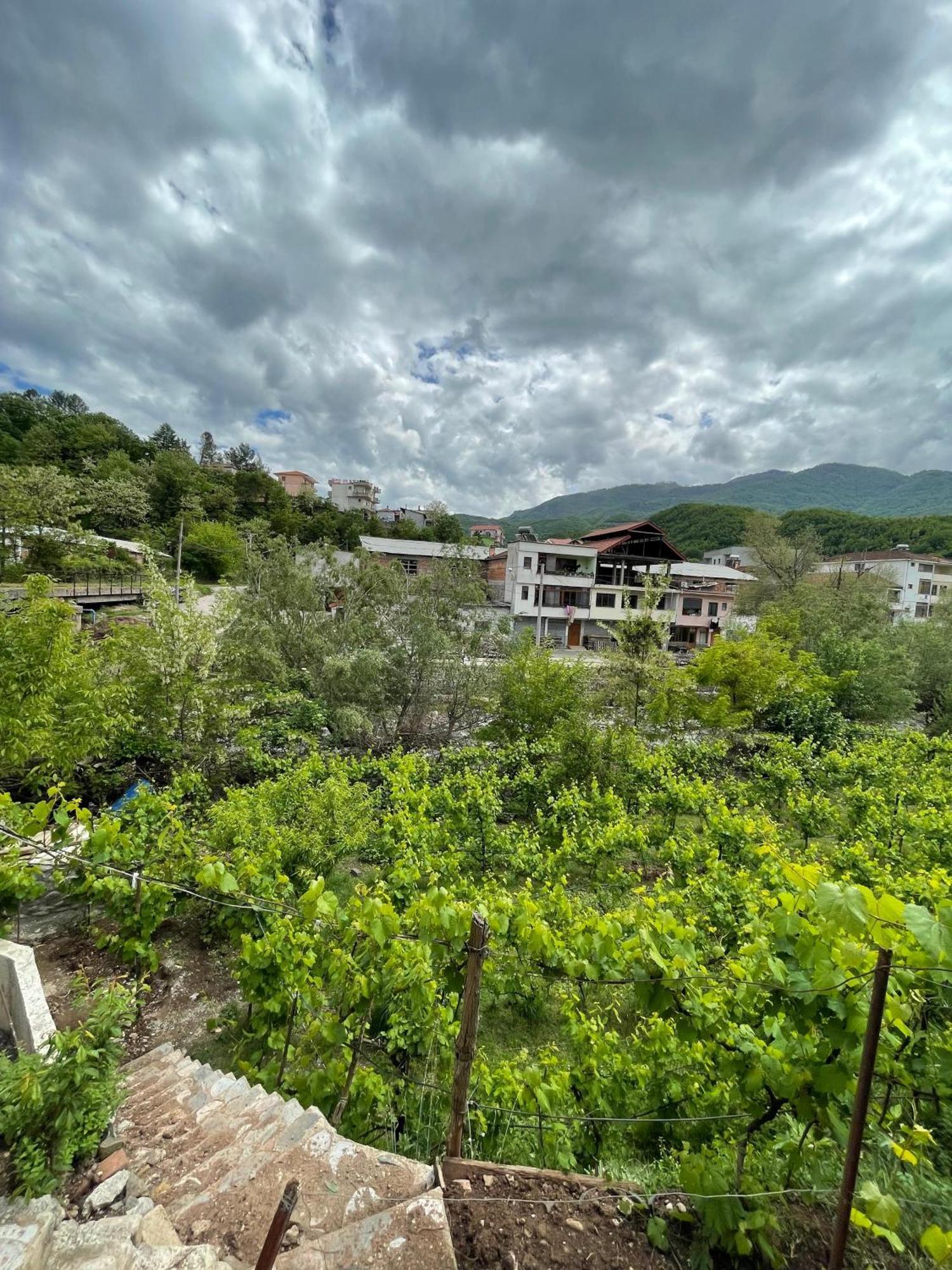 Home 12 Librazhd Екстер'єр фото